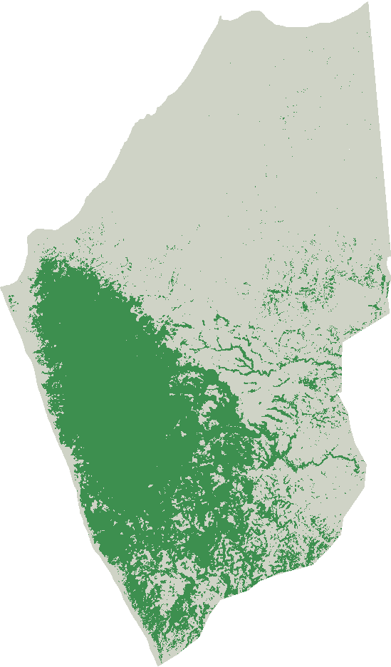 Pacoche forest cover, 1995