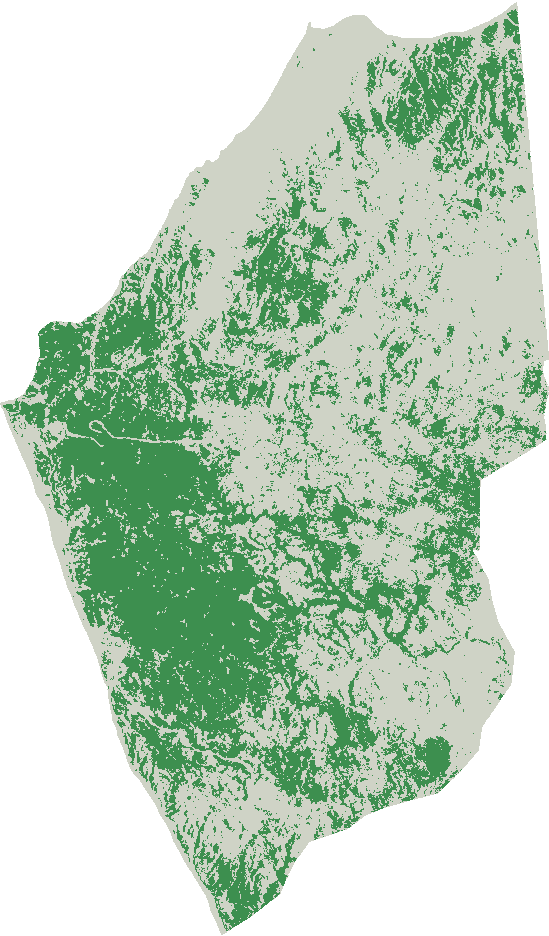 Pacoche forest cover, 1998–99