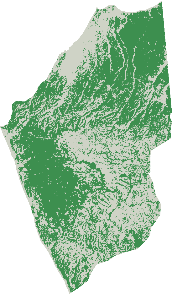 Pacoche forest cover, 2002