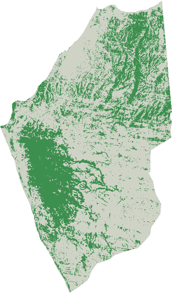 Pacoche forest cover, 2008–11