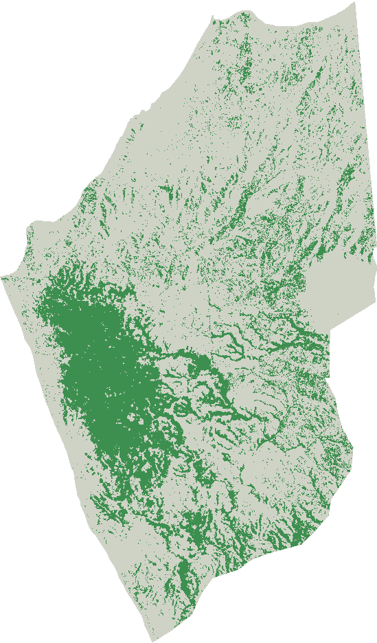 Pacoche forest cover, 2016