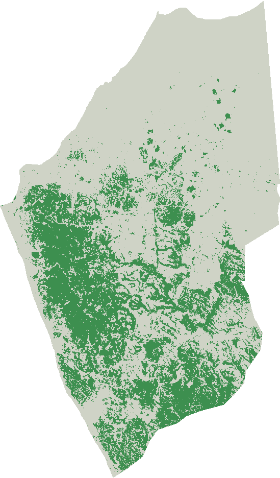 Pacoche forest cover, 2020