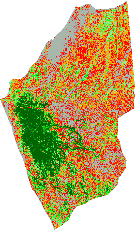 Number of dates each pixel was forest, 1995 to 2020